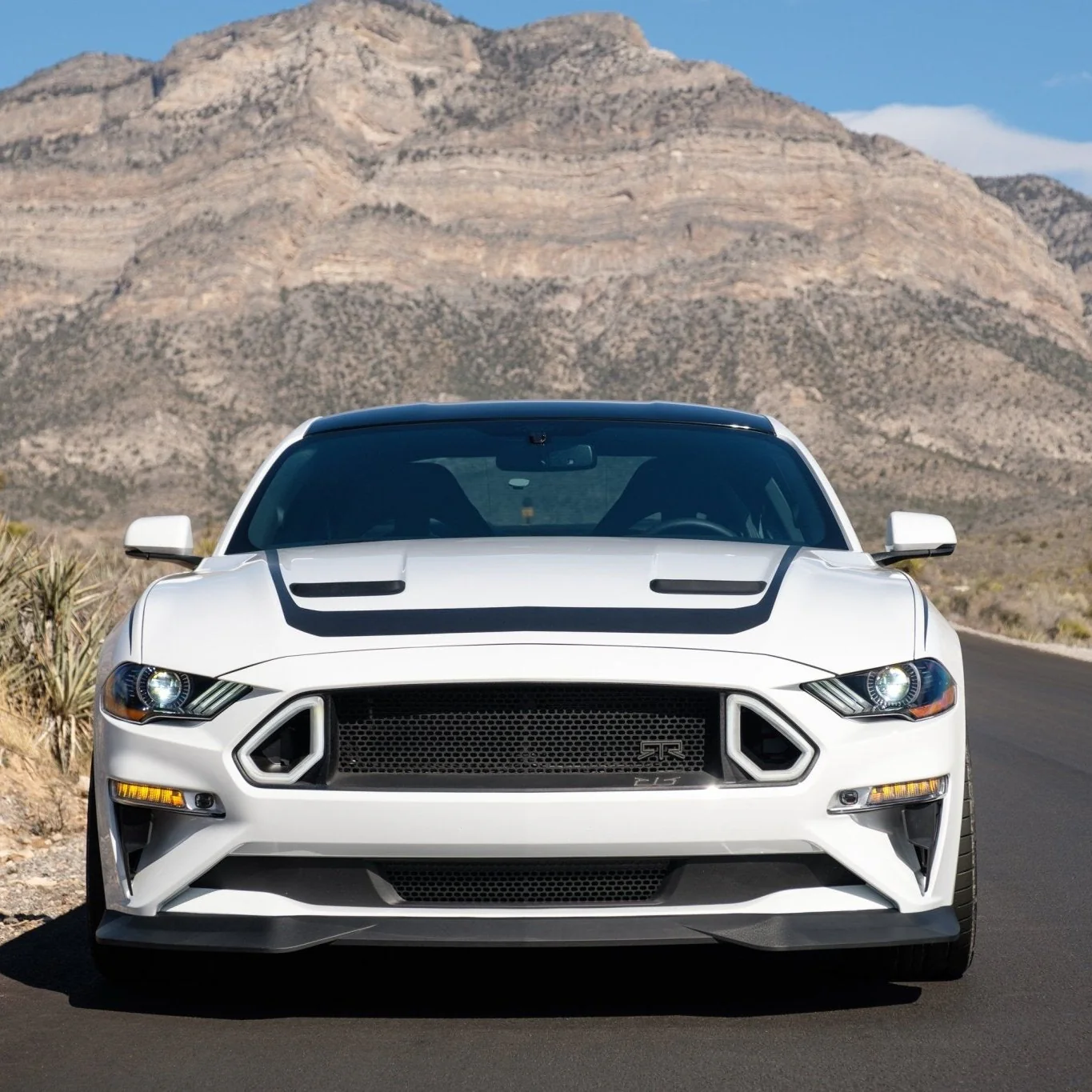 RTR Chin Spoiler (18-23 Mustang - Ecoboost & GT) - Image 4